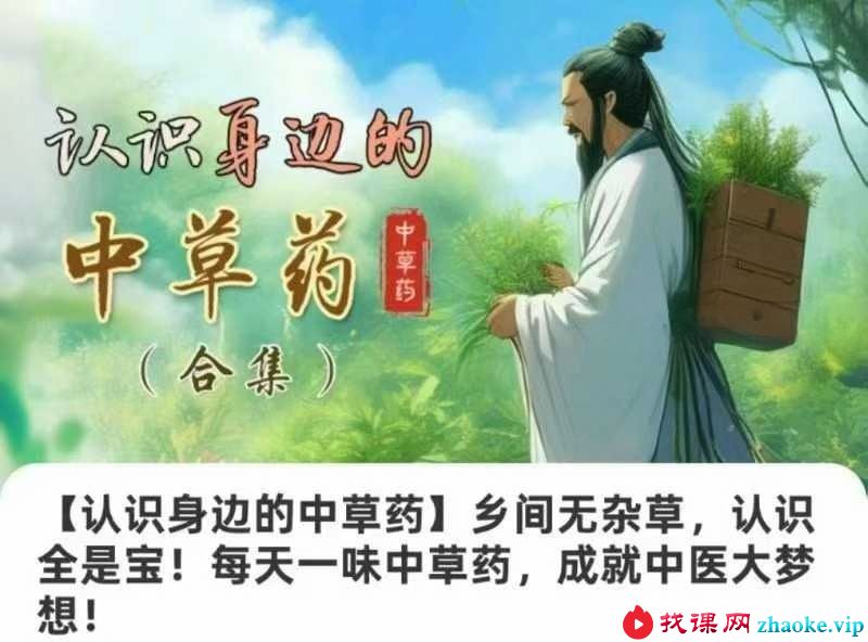 【认识身边的中草药】乡间无杂草，认识全是宝！每天一味中草药，成就中医大梦想！